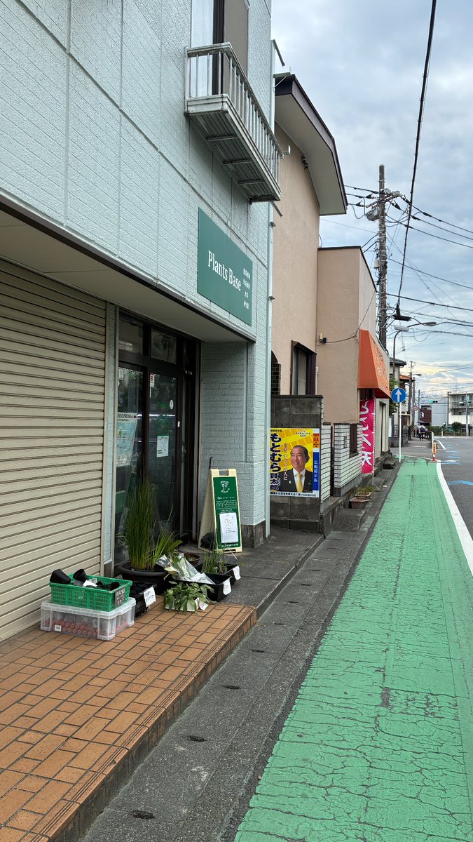 plan7s's tweet photo. ありがとうございました😍
@Plants_Base https://t.co/nkNv52nvN4