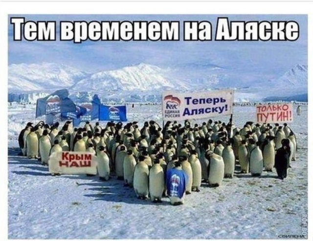 VSalamov51528's tweet photo. К мнению коренного населения-надо прислушиваться.🙃👍 https://t.co/ejxsSmQiVz