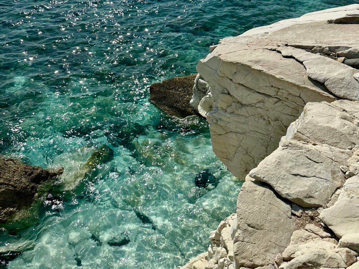 European Commission in Cyprus tweet media