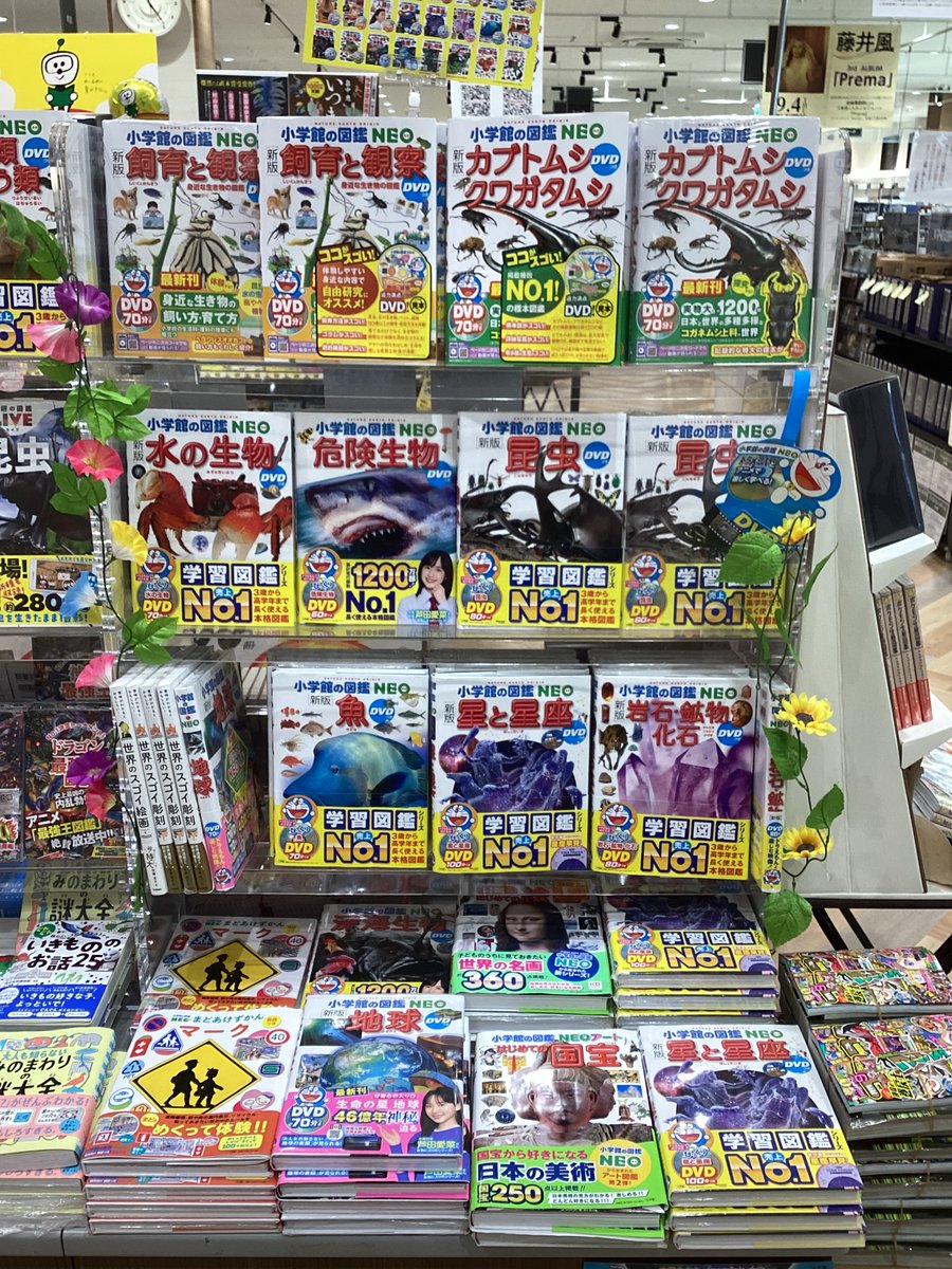 ただいま、当店では「夏の図鑑フェア」開催中です🐞 また、小学館の