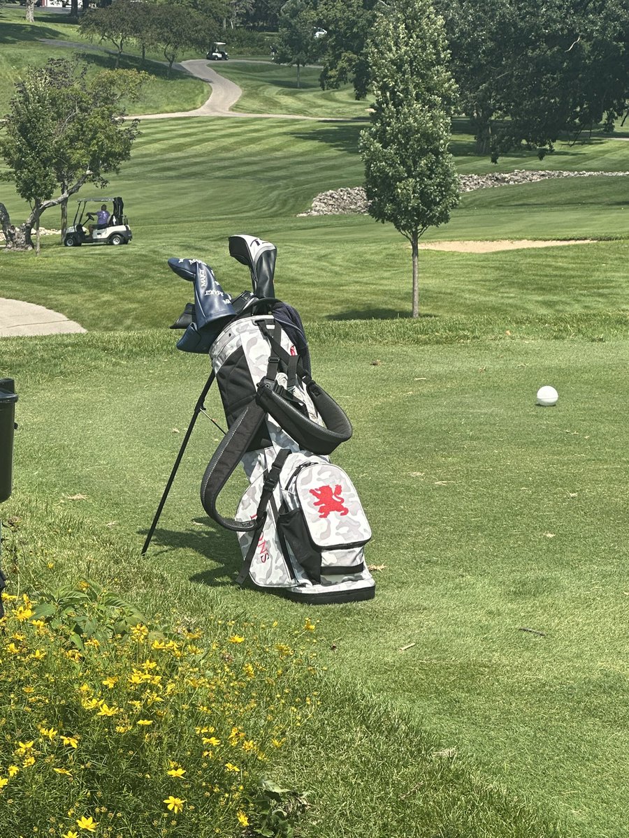 Saint Viator Boys Golf tweet media