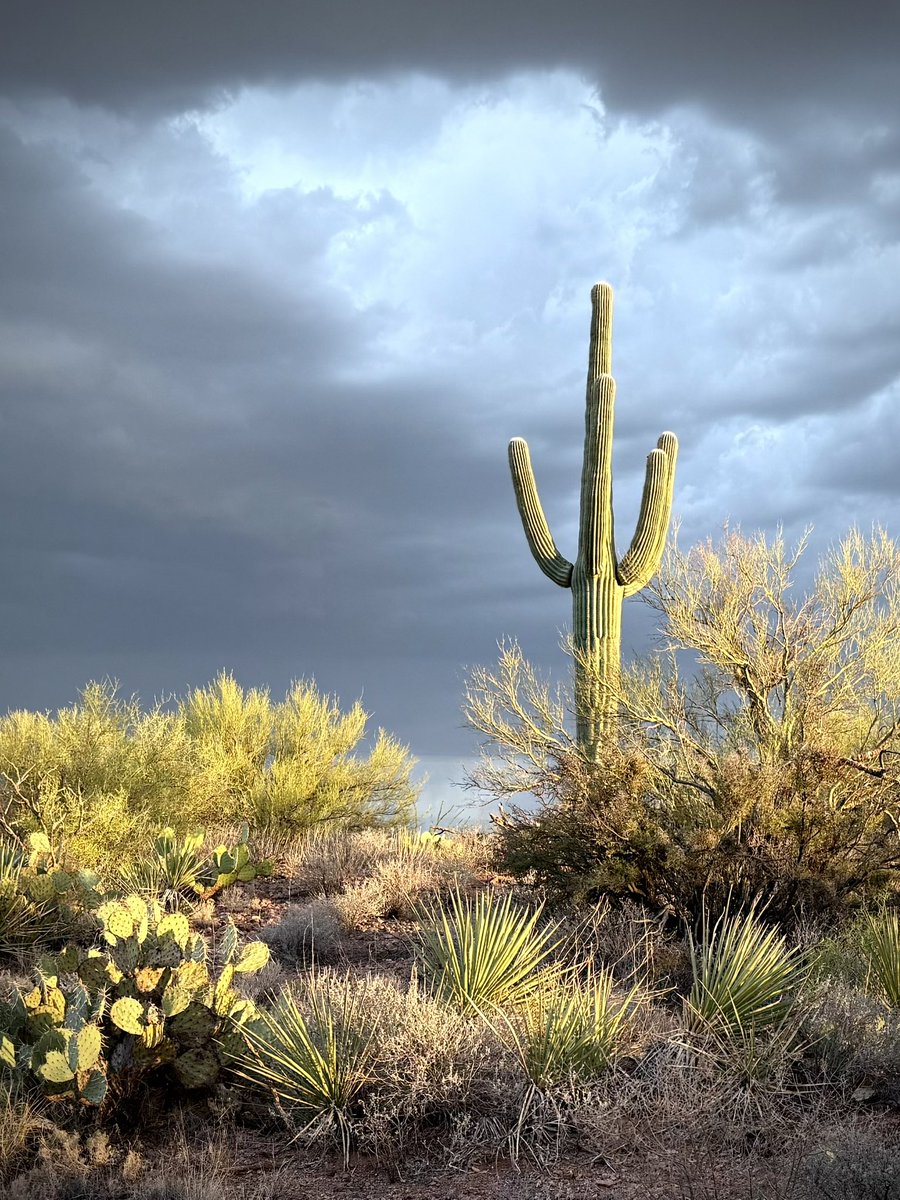 Josh Lien / Fine Art Photographer tweet media