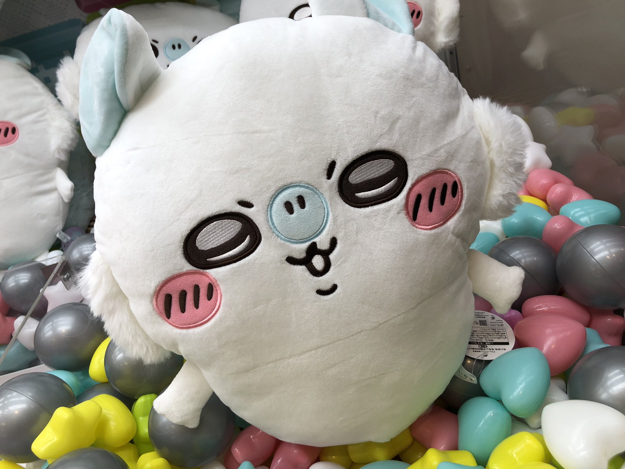 モモンガ アミューズメント まとめ売り used_bookstore_momonga_big_stu