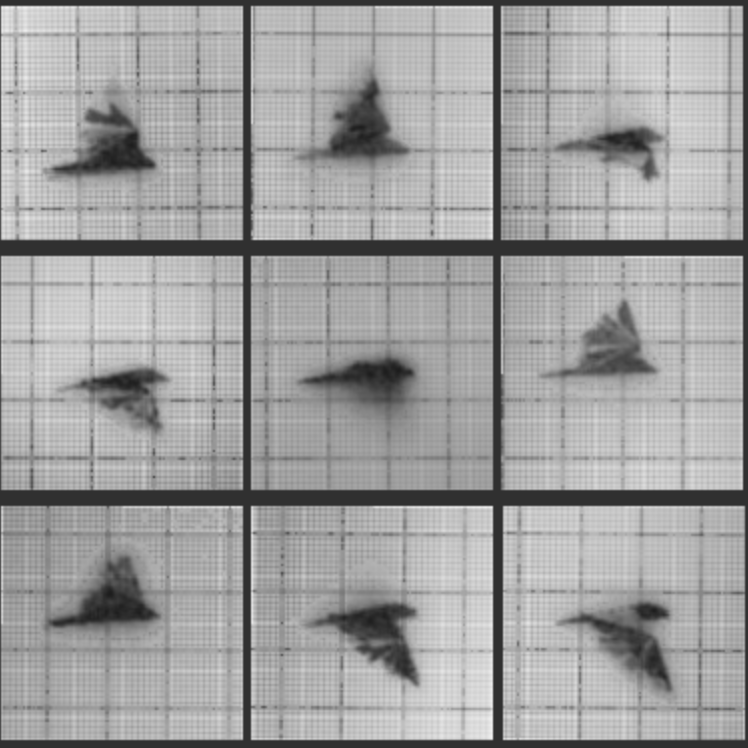 Chronophotograph by 0xdeafbeef 2023