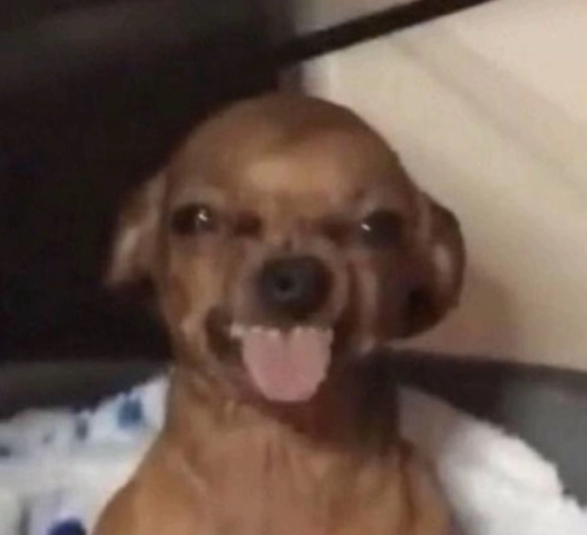 SkyzVisuals's tweet image. Wassup Gang!🥳