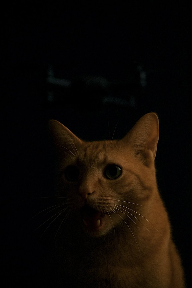 Coming soon…
#Checkland