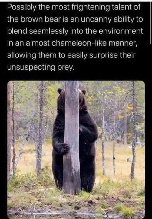 Giggle for the day. :)