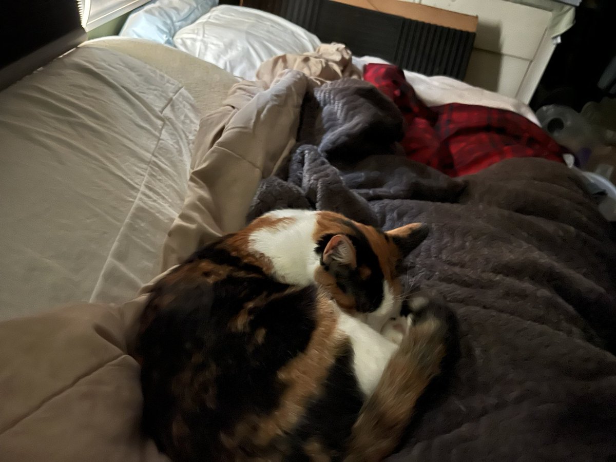 buckwheatPlayz's tweet photo. @Erismooo Love ya Vtuber mooma, take care atleast you made an announcement and let us know. Also let your children know if you need something from us especially me. Examples can be stuff like food or cat pics https://t.co/6wpZZHQait