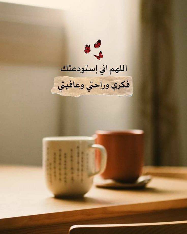 صباح الطمأنينة والرضا،
للقلوب التي تؤمن أن كل ما يأتي من الله هو خير،
صباح يحمل في طيّاته دعوات هادئة، وراحة تسكن الأرواح 🍃
كن بخير، ودَع الله يتولى أمرك بلطفه.

صباح الخير ♥️