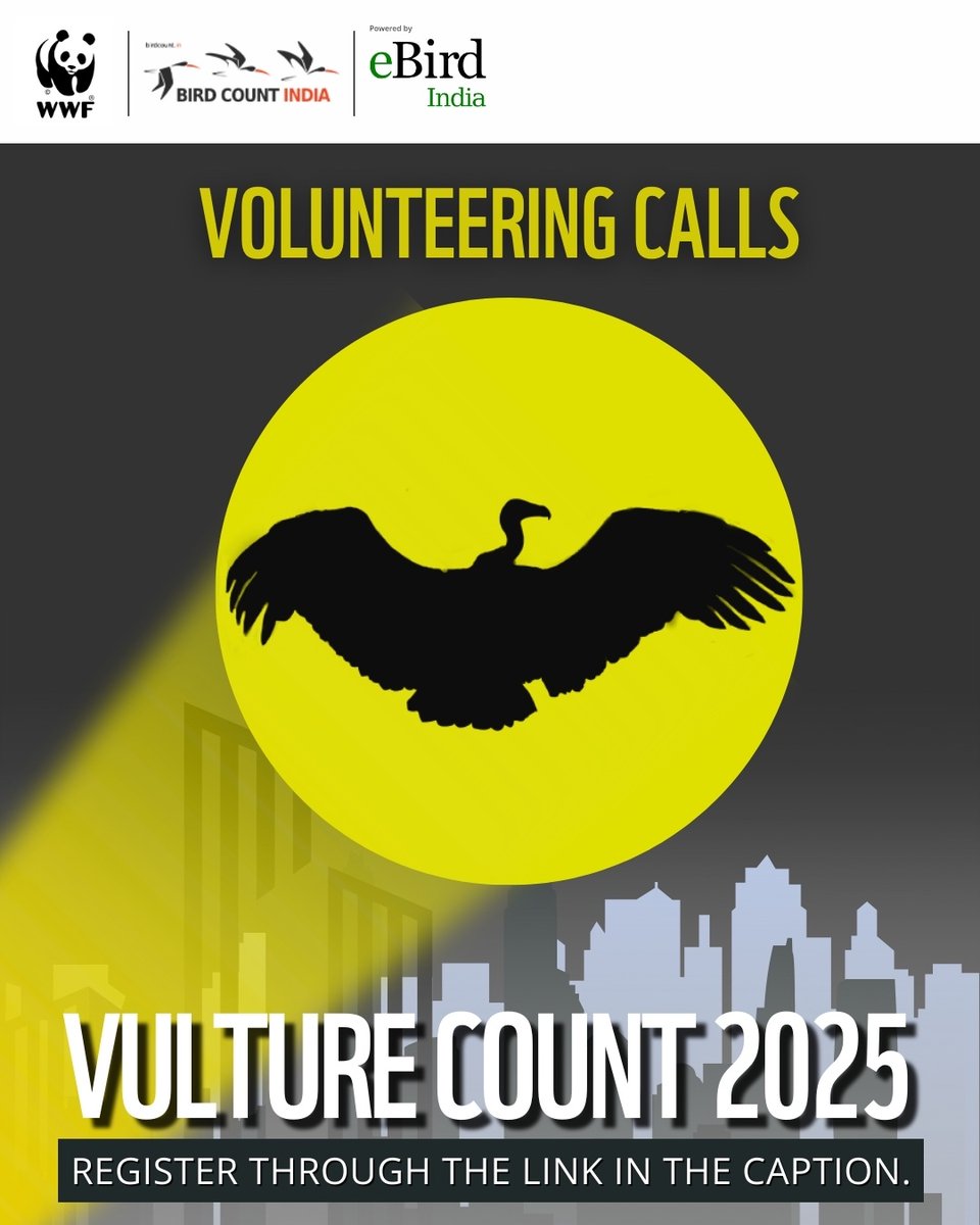 WWF-India (@wwfindia) on Twitter photo Be a hero. Volunteer for a pan-India celebration of vultures this September!
Visit people4planet.wwfindia.org/project.php?pi…
<a href="/birdcountindia/">Bird Count India</a> Be a hero. Volunteer for a pan-India celebration of vultures this September!
Visit people4planet.wwfindia.org/project.php?pi…
<a href="/birdcountindia/">Bird Count India</a>