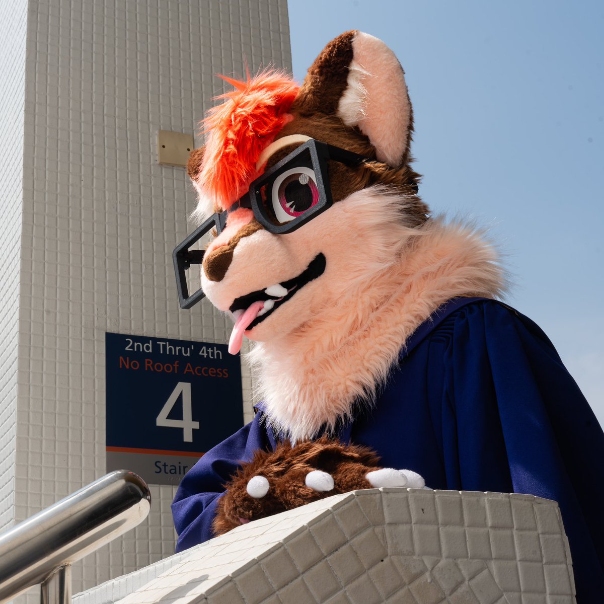 Graduation portraits
#FursuitFriday 

🐾: <a href="/Dodecane2242/">Dode</a> &amp; <a href="/FaxonFury/">Chips</a>