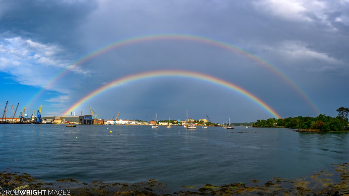 Rob Wright Images tweet media