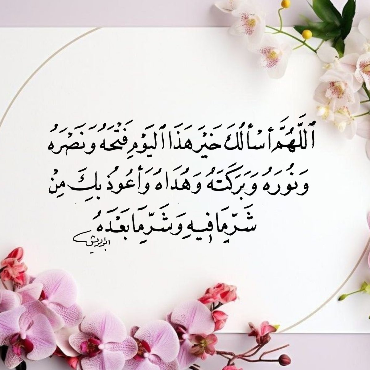adnan1mk's tweet photo. خط نسخ https://t.co/wLmIq5OfTz