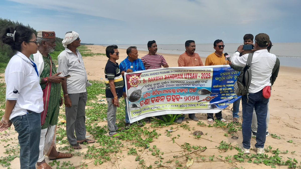 Asu32004459's tweet photo. "On this 9th Raksha Bandhan Utsav_Horseshoe Crab Conservation Awareness Program on 9th August 2025,we tied not just threads,but promises promises to protect our ancient blue-blooded friends, the Horseshoe Crabs.#SaveHorseshoeCrabs
#marineconservation https://t.co/08aUB2J0iO