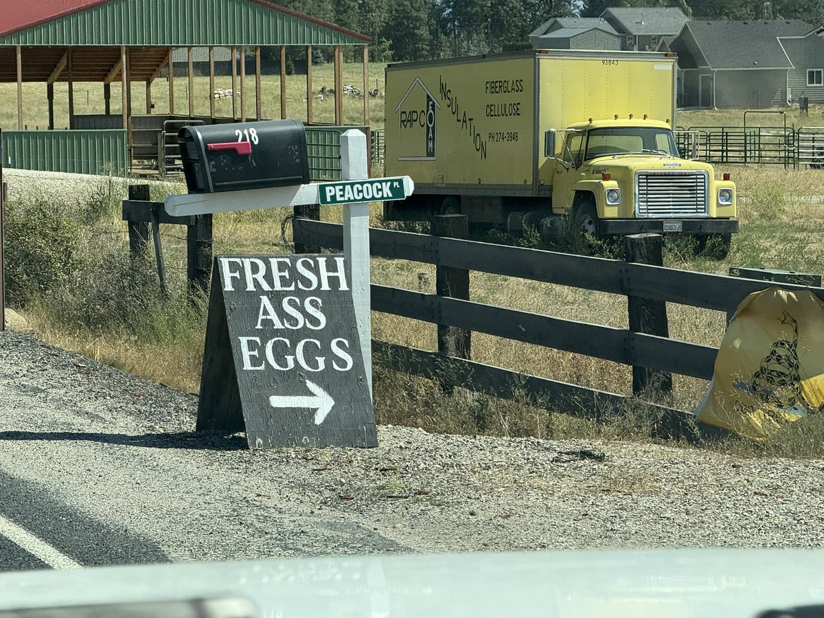 These ain’t just regular ol’ eggs ya’ll…