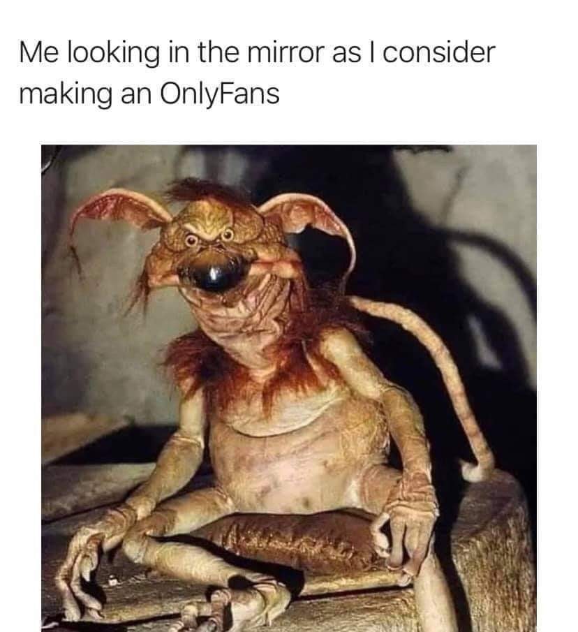 Not Your TC 🇩🇰🇮🇪🇺🇸 (@notyourtc) on Twitter photo 