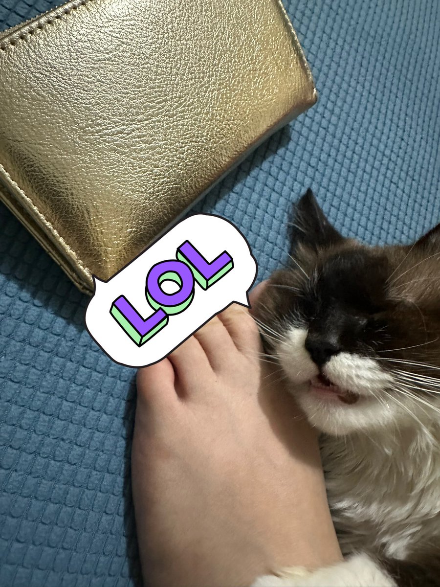TessaNameless's tweet photo. I know I have the cutest baby pale feet but how can I stand and move out when you are hugging and hogging it!?
#BlindKitty Privileges are the worst!
We’ve been like this for hours #Mochi ! https://t.co/XJjvEzYjpp