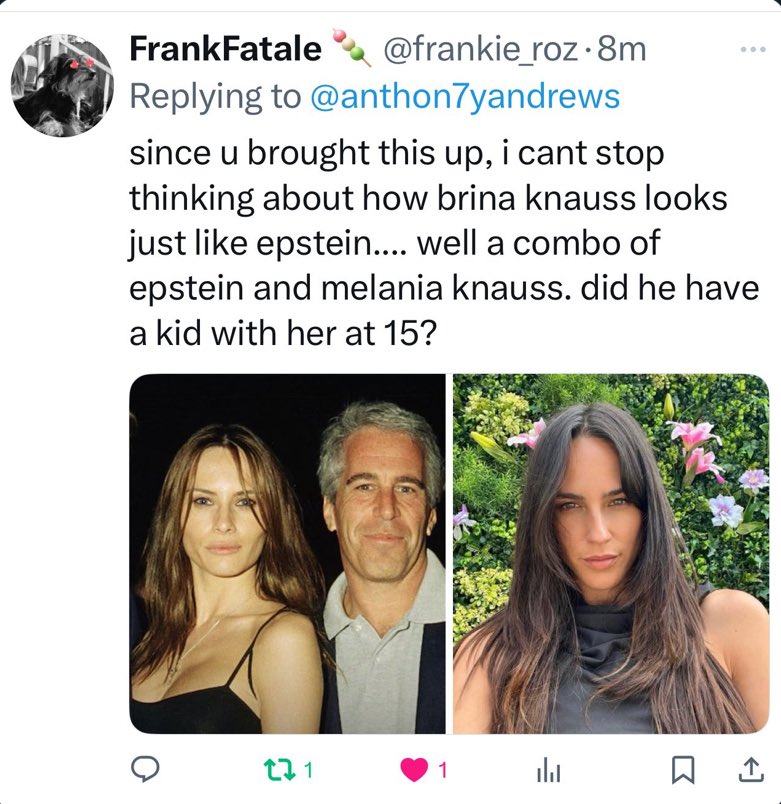 So…Brina Knauss ISN’T your child with #Epstein?