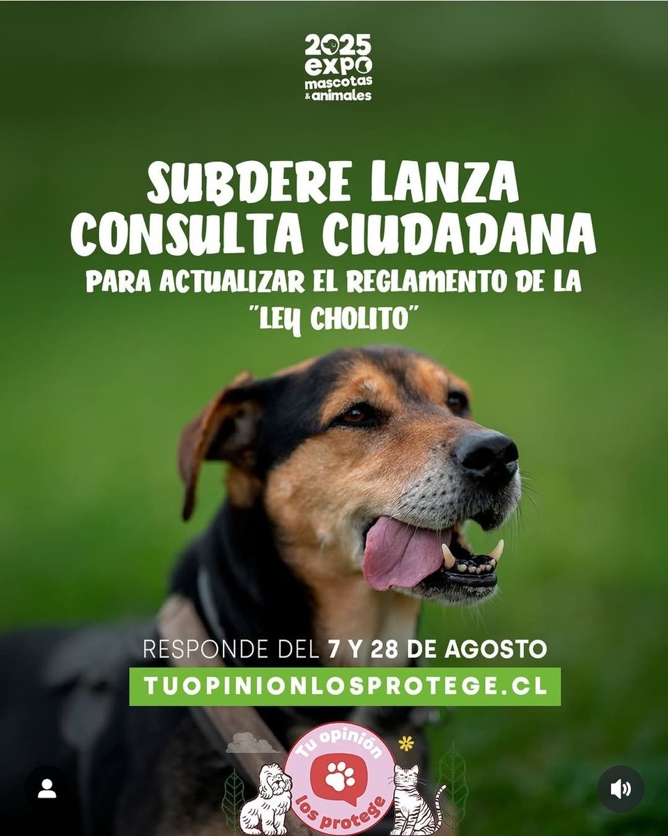 #URGENTE #LeyCholito <a href="/alertaconcon/">Alerta Concón</a> <a href="/AnimalParaiso/">AnimalParaíso</a> <a href="/biobio/">BioBioChile</a> <a href="/carolinapinoc/">Caro 🌲 C.</a> <a href="/Fundacion_CIMA/">Fundación C.I.M.A. Chile</a> <a href="/KarendTV/">Karen Doggenweiler L</a> <a href="/PerrosPlazaHuem/">Perras Tuiteras🐾 Barrio Franklin 🇨🇱🐶🐱</a> <a href="/kattykowaleczko/">Katty Kowaleczko</a> <a href="/mascotalerta/">Fundación MASCOTALERTA</a> <a href="/colmevetchile/">Colegio Médico Veterinario de Chile</a> <a href="/RinconSalfate/">Juan Andrés Salfate</a>