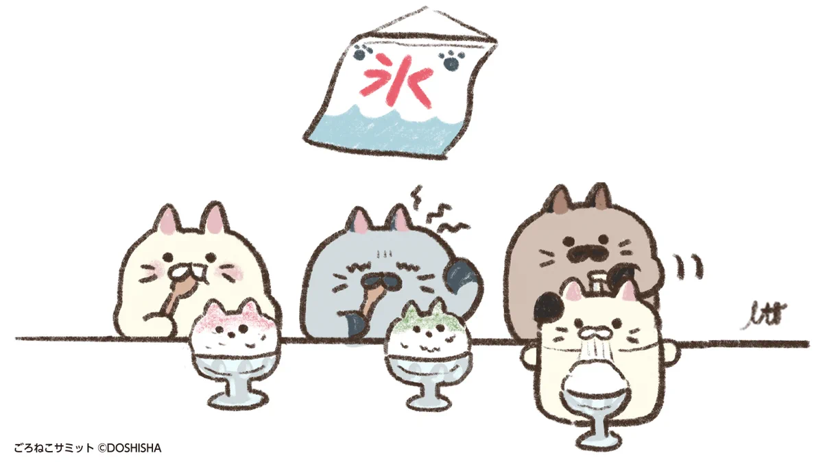 ごろねこサミット イトウ【公式】 (@goroneco_samit) / X