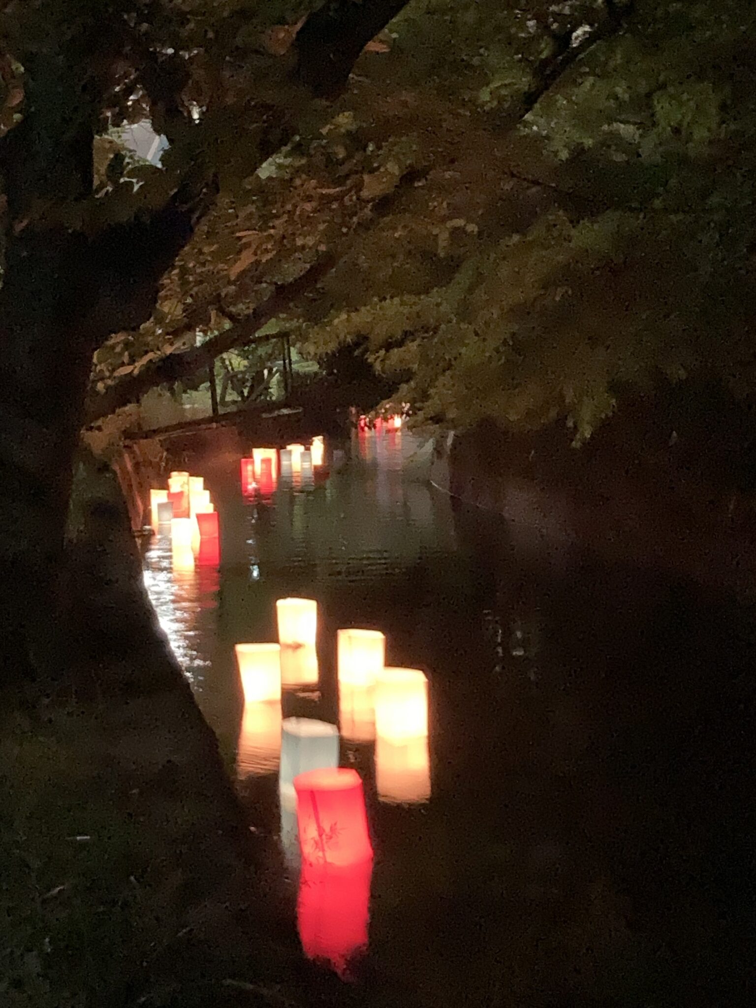 岡山市ももたろう観光センター on X: 