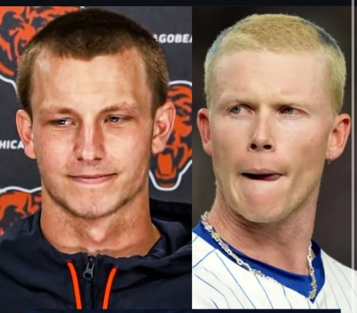 Chibearsource on IG tweet media
