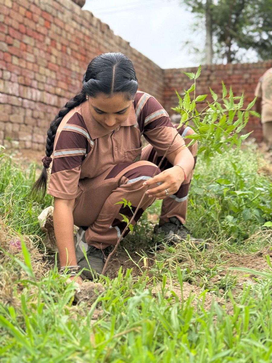 Baljindercaur's tweet image. Wishing Saint MSG a very blessed and joyous birthday! Your tireless dedication towards humanity and countless welfare works inspire millions across the globe. May your divine guidance continue to uplift and serve mankind. #HappyBirthdayMSG
Here&apos;s #MygifttoMSG