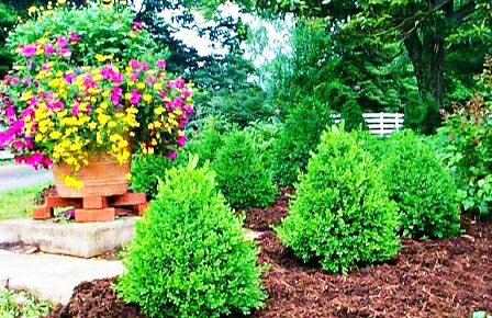 "“A garden is a grand teacher. It teaches patience and careful watchfulness; it teaches industry and thrift; above all, it teaches entire trust.”