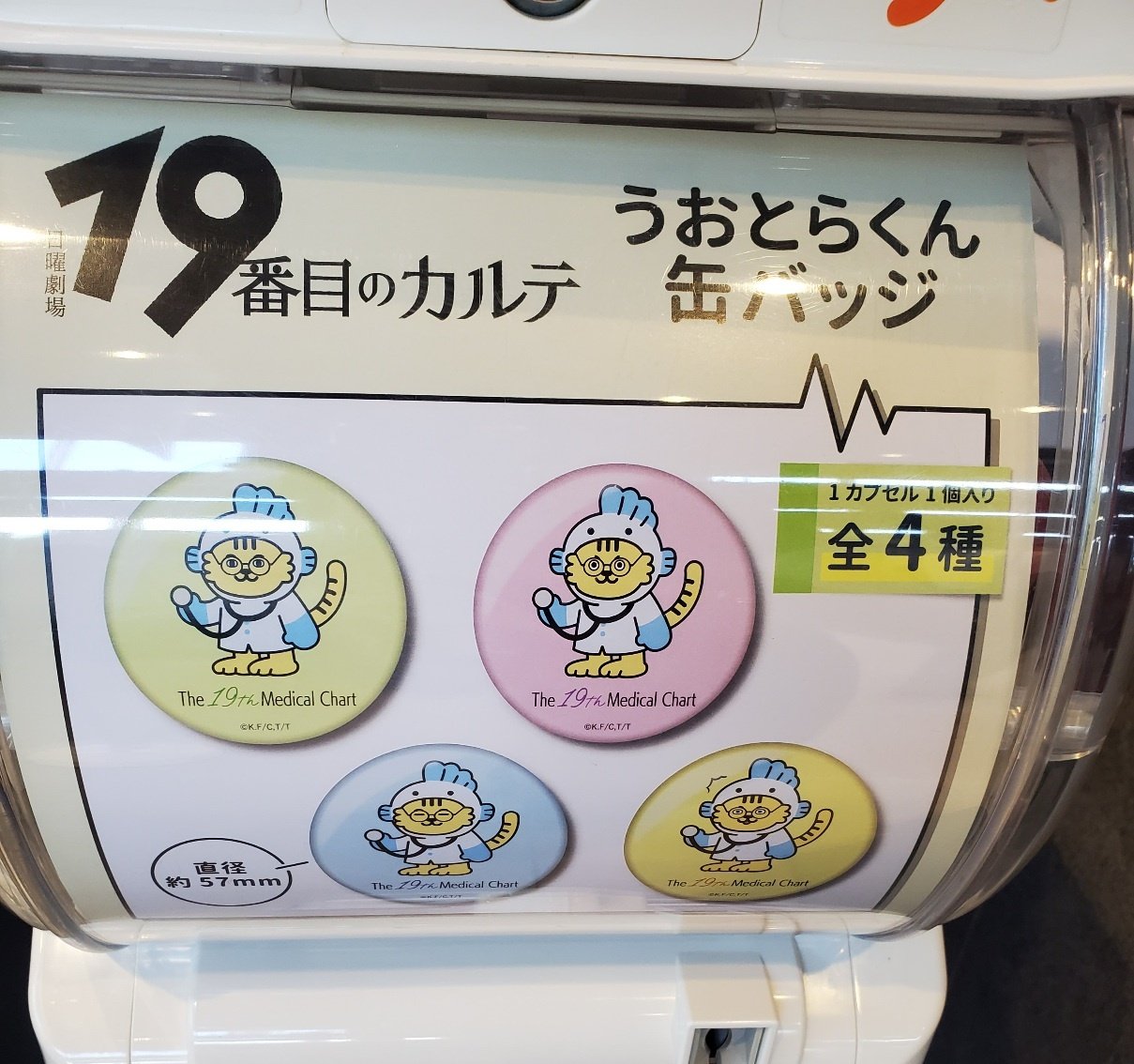 19番目のカルテ ポップアップストア限定 魚虎くん缶バッジ4個