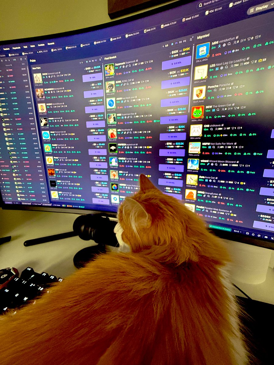 Had an amazing day devving today.

50sol+

6hZsdLMZn2Wi7NHWsdyeMM8jigapScA7GaVqjRhgpump

Why not do a 2 sol giveaway to two people

Follow, Like, repost and @ a fren to enter. Gl🙏