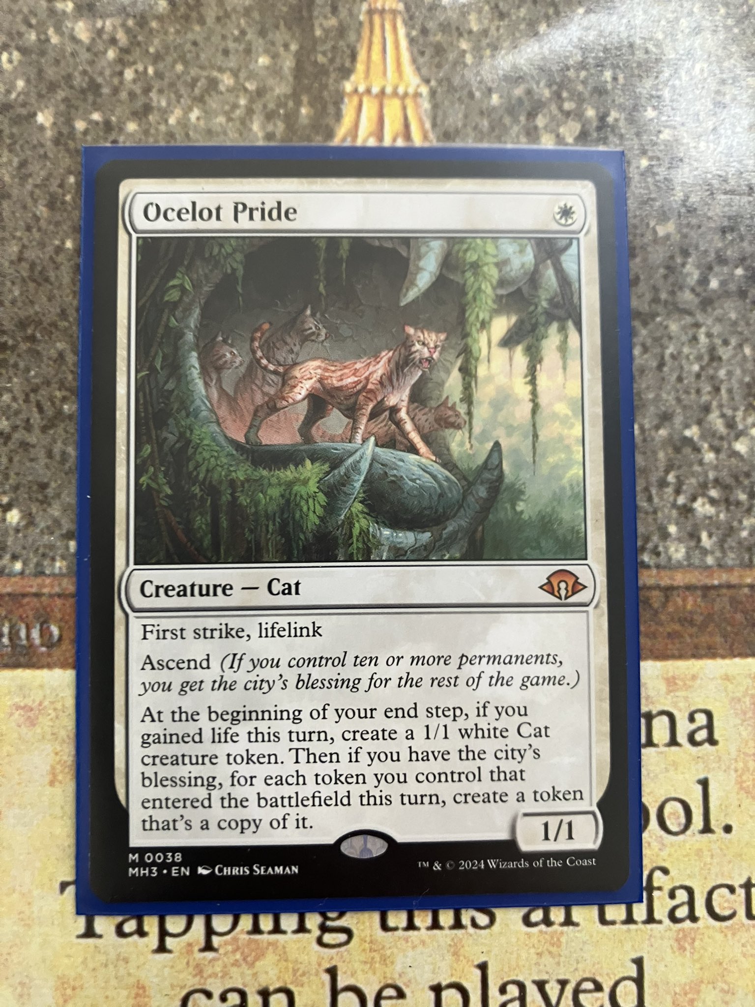 真珠亭◇8/23(土)新潟でMTG会！ on X: 