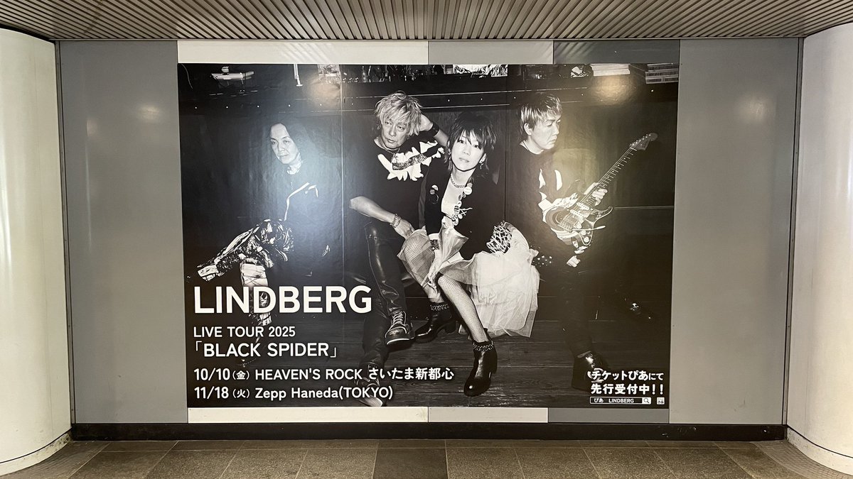 LINDBERG_info (@LINDBERGinfo) / X