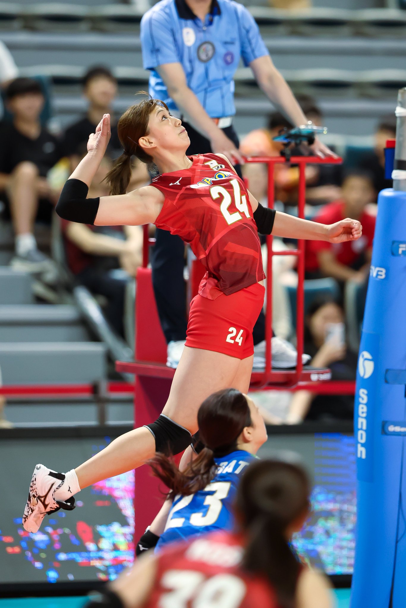 ヴィクトリーナ姫路　野中瑠衣選手 日本代表　直筆サイン入り ヴィクトリーナ姫路 期待の新戦力 日本代表の野中瑠衣 初