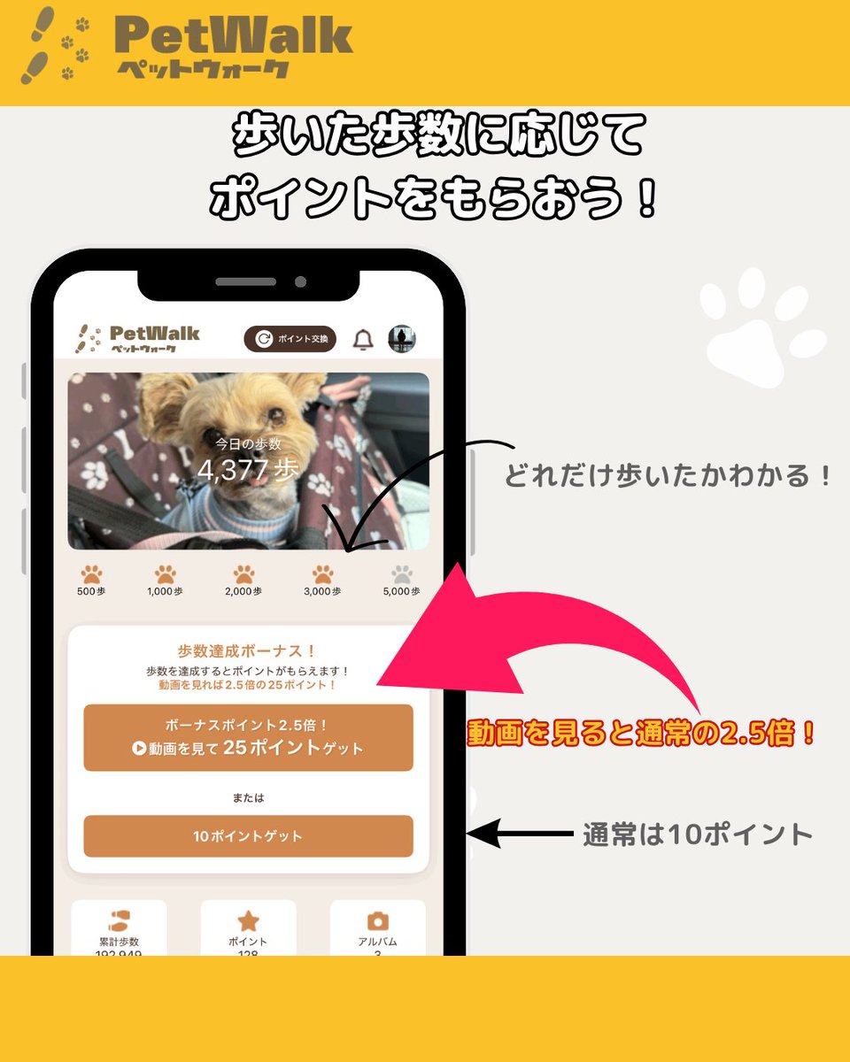petwalk_202507's tweet photo. 🐾 PetWalkを始めてみたら
「散歩がちょっと楽しみになった！」
「うちの子の写真を見てもらえて嬉しい！」
そんな声を早くもいただいています✨

歩数を達成したらポイント獲得ボタンを押してね💡
動画を見るとポイント2.5倍になります🎁

今日からペットとの毎日をもっと楽しく🐶🐱
#PetWalk #ポイ活 https://t.co/5Yrk6H7qND