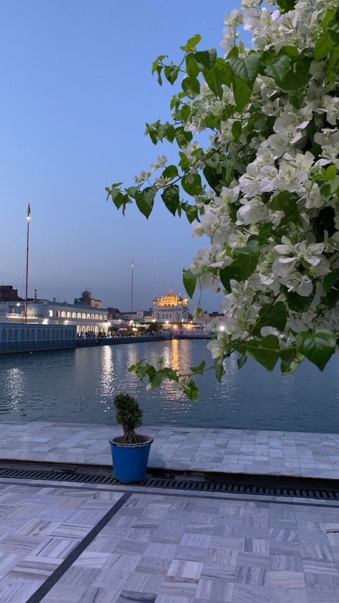 ਸਗਰੀ ਸ੍ਰਿਸਟਿ ਦਿਖਾਇ ਅਚੰਭਵ ॥
All His creation unfolds wonderful things

ਆਦਿ ਜੁਗਾਦਿ ਸਰੂਪ ਸੁਯੰਭਵ ॥੩੯੫॥
He, the Primal Power, is from the beginning and Self-Existent.

🌸 ਵਾਹਿਗੁਰੂ ਜੀ 🌸🙏