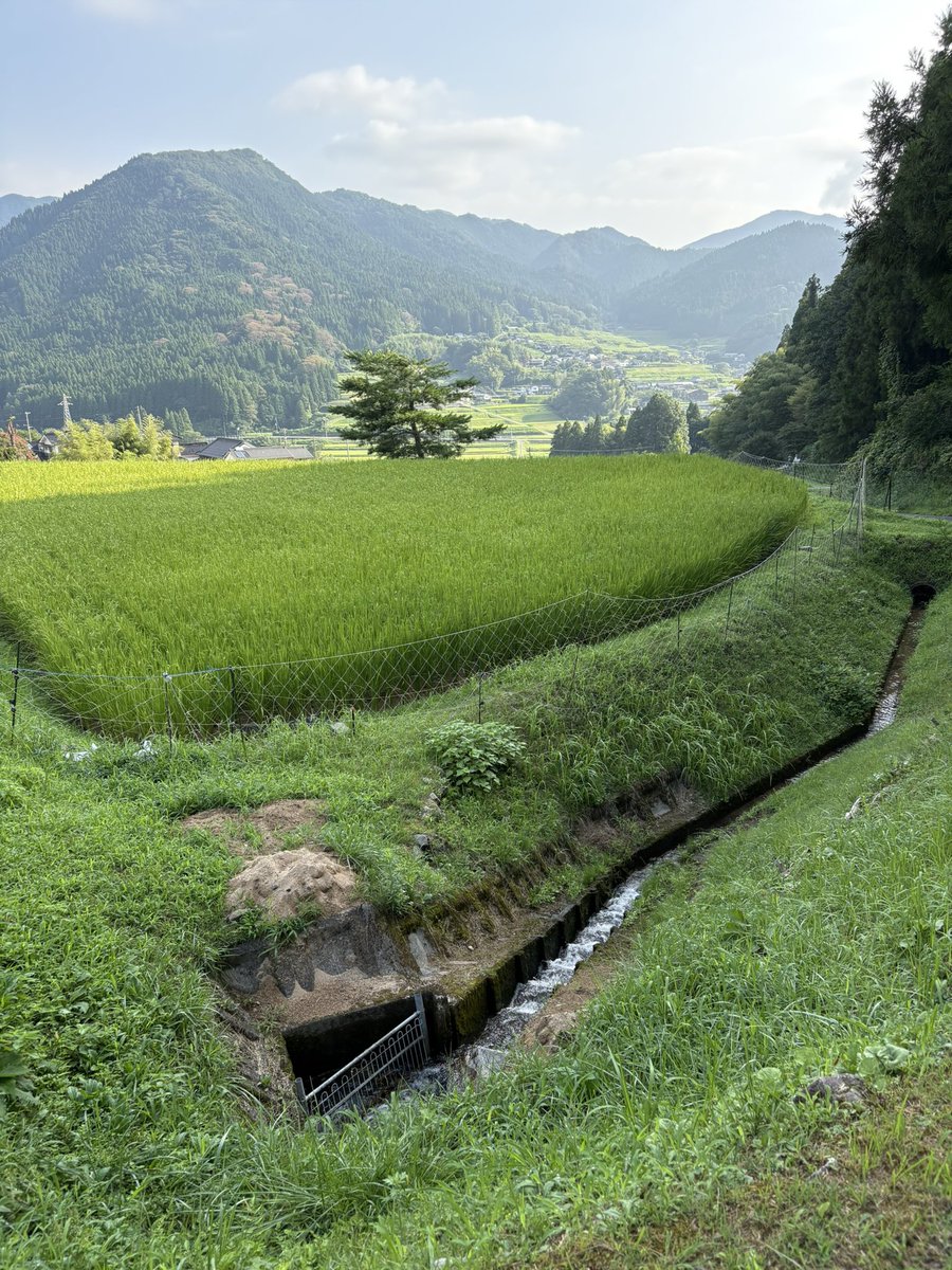 ディスイズ

ザ田舎