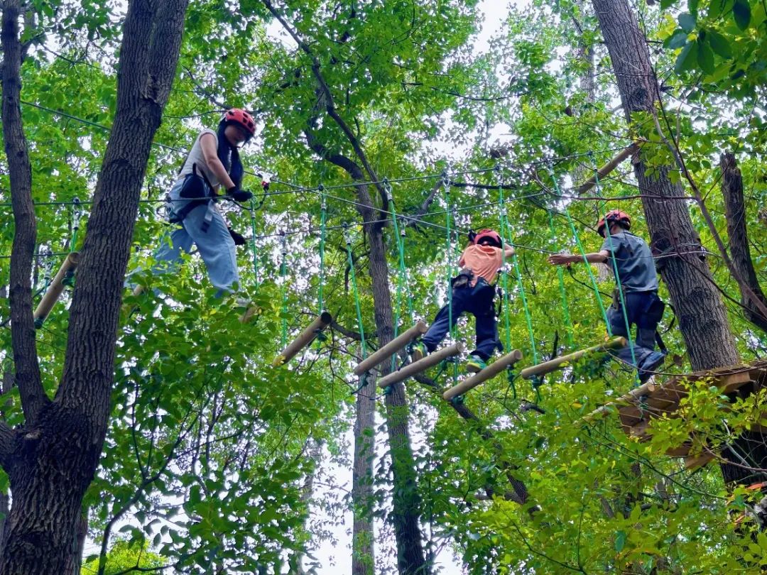 VisitSongjiang's tweet image. #Songjiang welcomes a new mega #treetop #adventurepark -- Jungle Master Adventure Park, integrating with #natural ecosystems and providing ample physical exercise. #AdventureTime 
It offers 9 routes with 5 difficulty ratings. Whether you're a child, an adult, or a professional