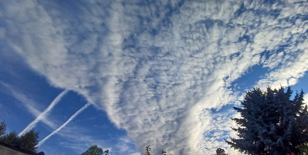 I seriously haven't seen this shade of blue in years! Do you remember? Good bye blue. They're trying to make it RAIN CHEMICALS AGAIN in AUGUST 🤡