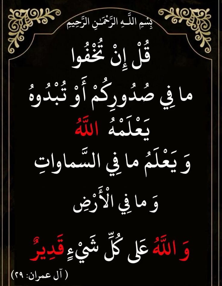 ابو عبد القادر (@sbr4w3wkcrbv9jk) on Twitter photo 