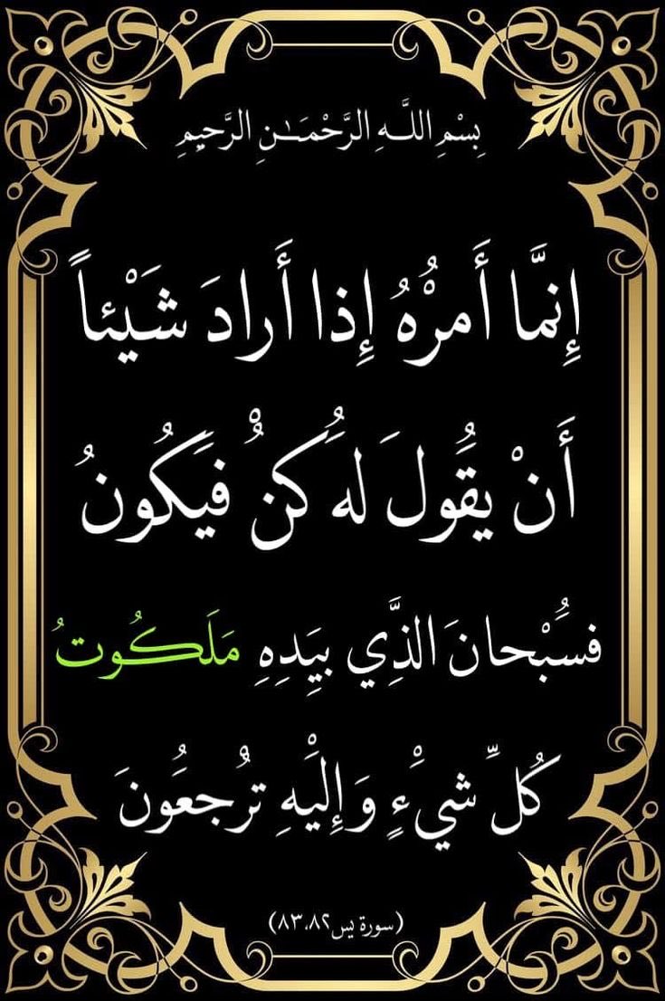 ابو عبد القادر (@sbr4w3wkcrbv9jk) on Twitter photo 