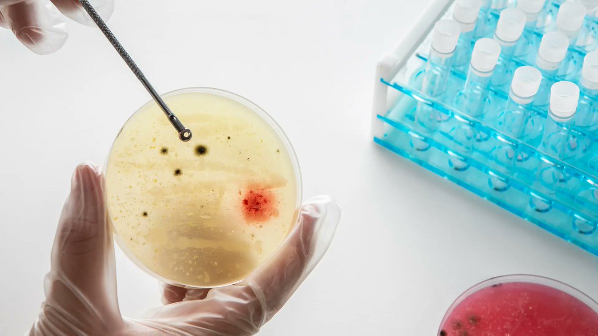 Research Matters (@sciresmatters) on Twitter photo ๐พ๐๐ฃ ๐จ๐ช๐๐ฉ๐ก๐ ๐๐ค๐ค๐ ๐๐๐๐ฃ๐๐๐จ ๐ก๐๐๐ ๐ฉ๐ค ๐ซ๐๐จ๐ฉ๐ก๐ฎ ๐๐๐๐๐๐ง๐๐ฃ๐ฉ ๐๐ซ๐ค๐ก๐ช๐ฉ๐๐ค๐ฃ๐๐ง๐ฎ ๐ฅ๐๐ฉ๐๐จ?
New research by <a href="/iitbombay/">IIT Bombay</a> shows how microbes diverge when fed identical sugars packaged differently.
Read: researchmatters.in/news/predictinโฆ to dive deeper into ๐พ๐๐ฃ ๐จ๐ช๐๐ฉ๐ก๐ ๐๐ค๐ค๐ ๐๐๐๐ฃ๐๐๐จ ๐ก๐๐๐ ๐ฉ๐ค ๐ซ๐๐จ๐ฉ๐ก๐ฎ ๐๐๐๐๐๐ง๐๐ฃ๐ฉ ๐๐ซ๐ค๐ก๐ช๐ฉ๐๐ค๐ฃ๐๐ง๐ฎ ๐ฅ๐๐ฉ๐๐จ?
New research by <a href="/iitbombay/">IIT Bombay</a> shows how microbes diverge when fed identical sugars packaged differently.
Read: researchmatters.in/news/predictinโฆ to dive deeper into