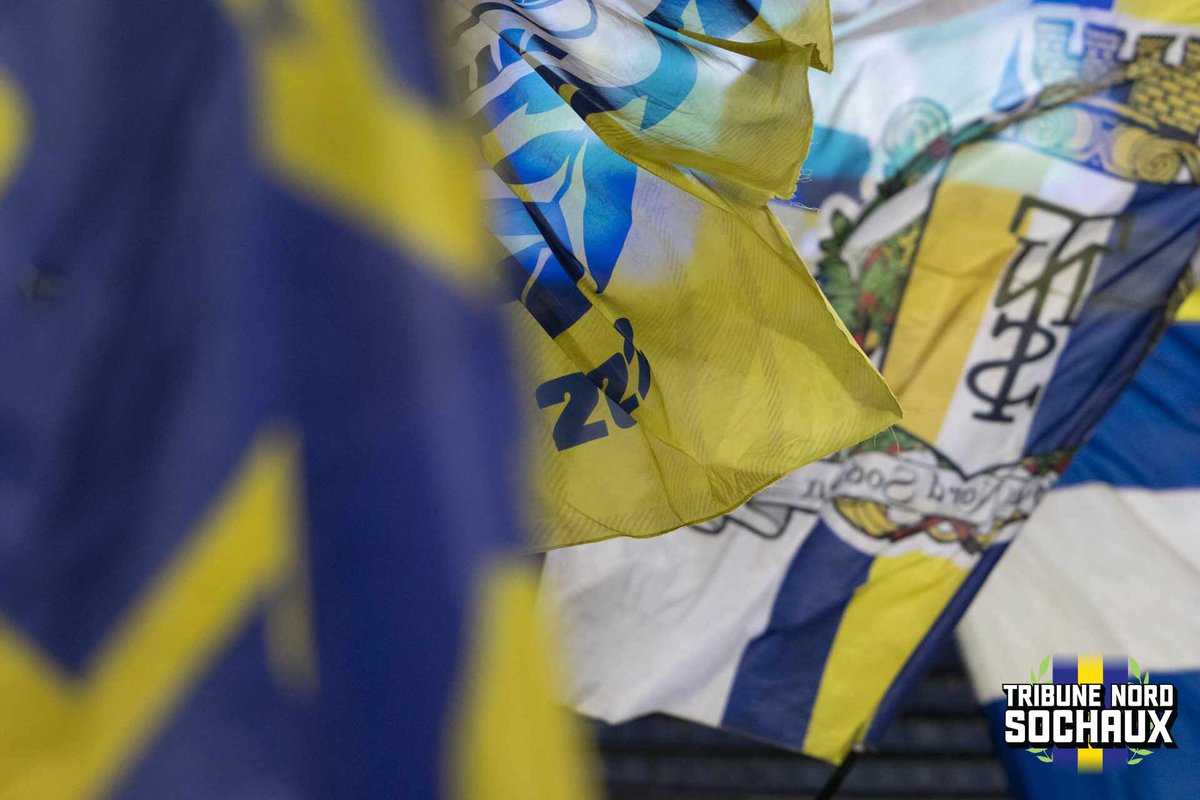 tribune_nord_sx's tweet photo. My heart beats for you,
The Yellow and the Blue !

Stade Auguste Bonal https://t.co/kZkijaTyVl