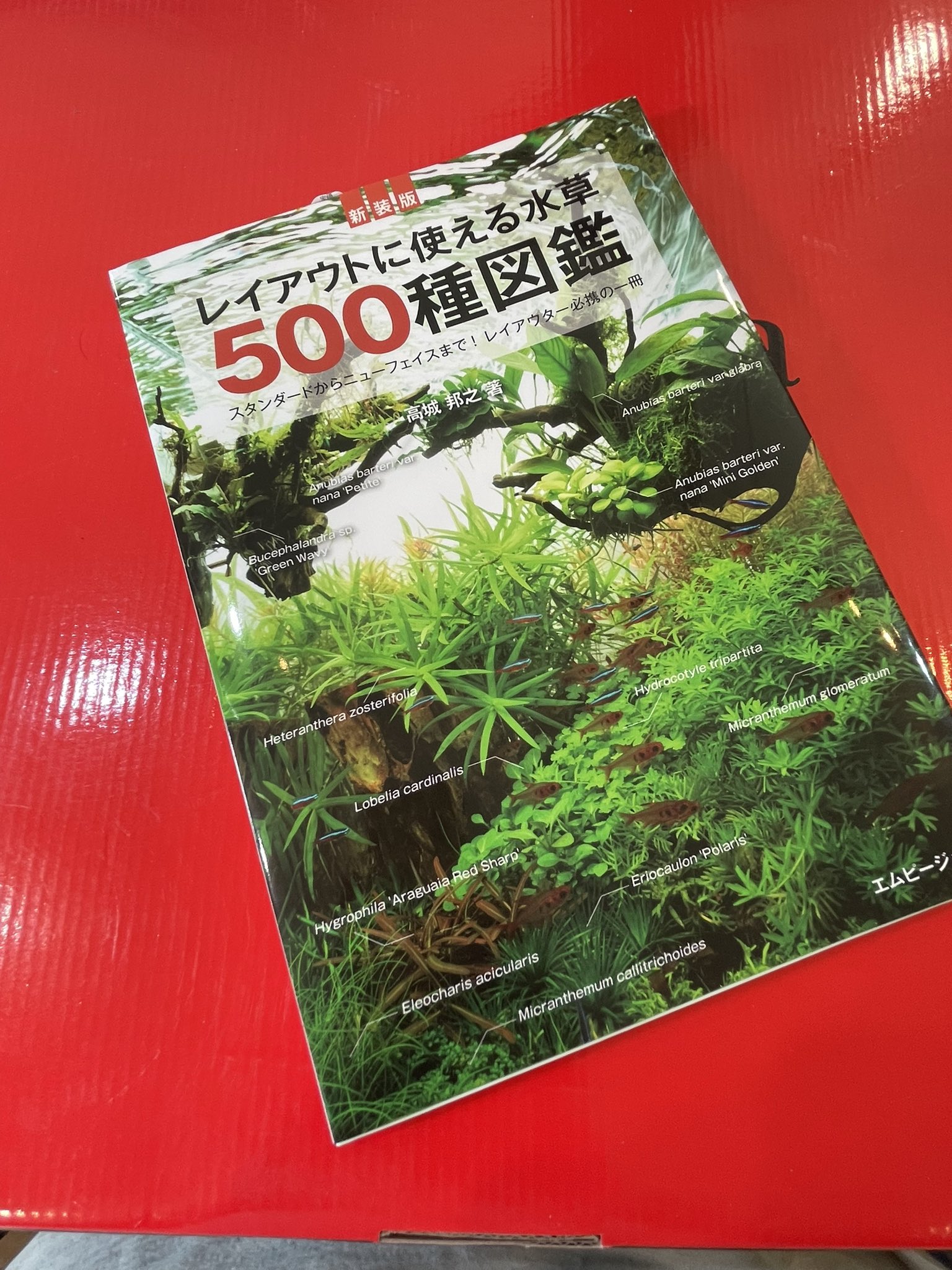 aquarium shop EARTH on X: 