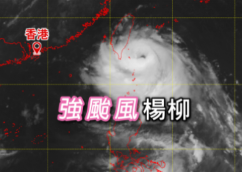 [天氣隨筆]: 隨楊柳而來的黑雨 url.hko.hk/PX5wg0EK