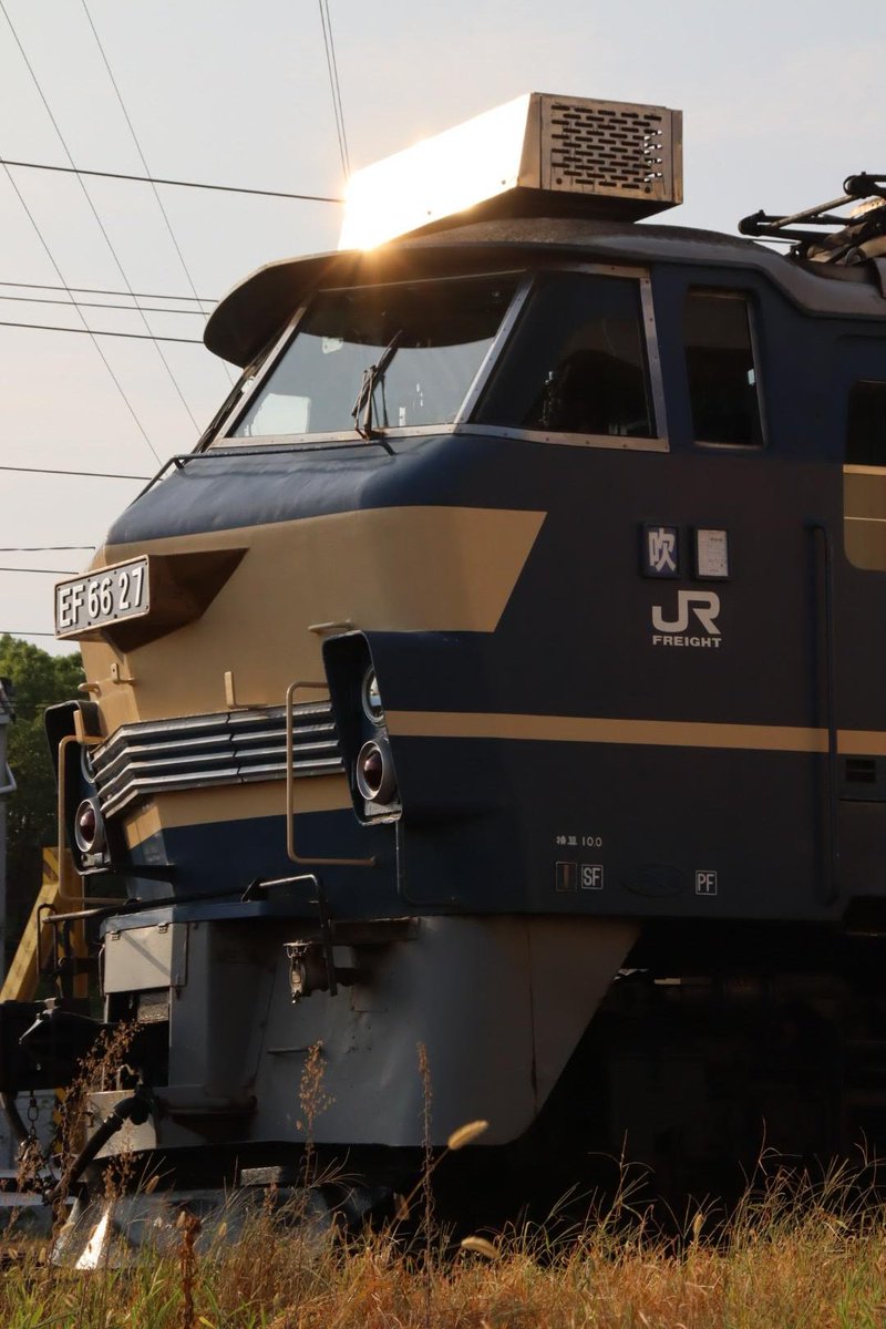 EF6627 - Search / X