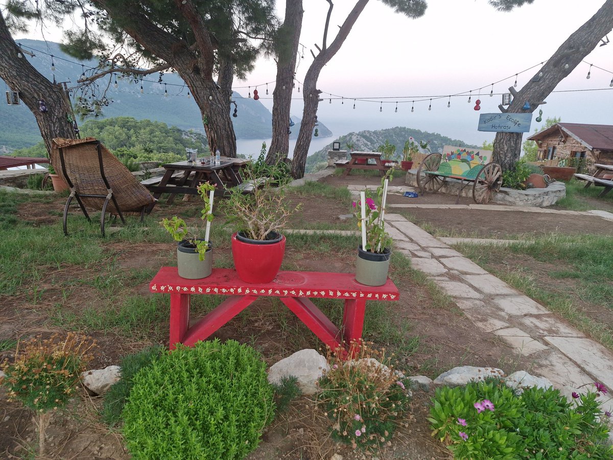 Günaydın can dostlarım yellitepeden selamlar kadirs eco life