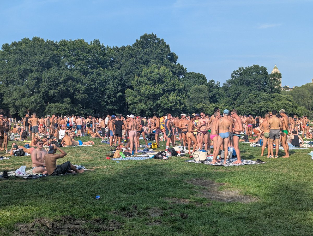 Second Sundays is an event in Central Park where people gather to stand in the sun in various colors of speedos. It is popular for the local fauna to gather during the peak of summer, flaunting their forms and flamboyance. We are peacocks!
