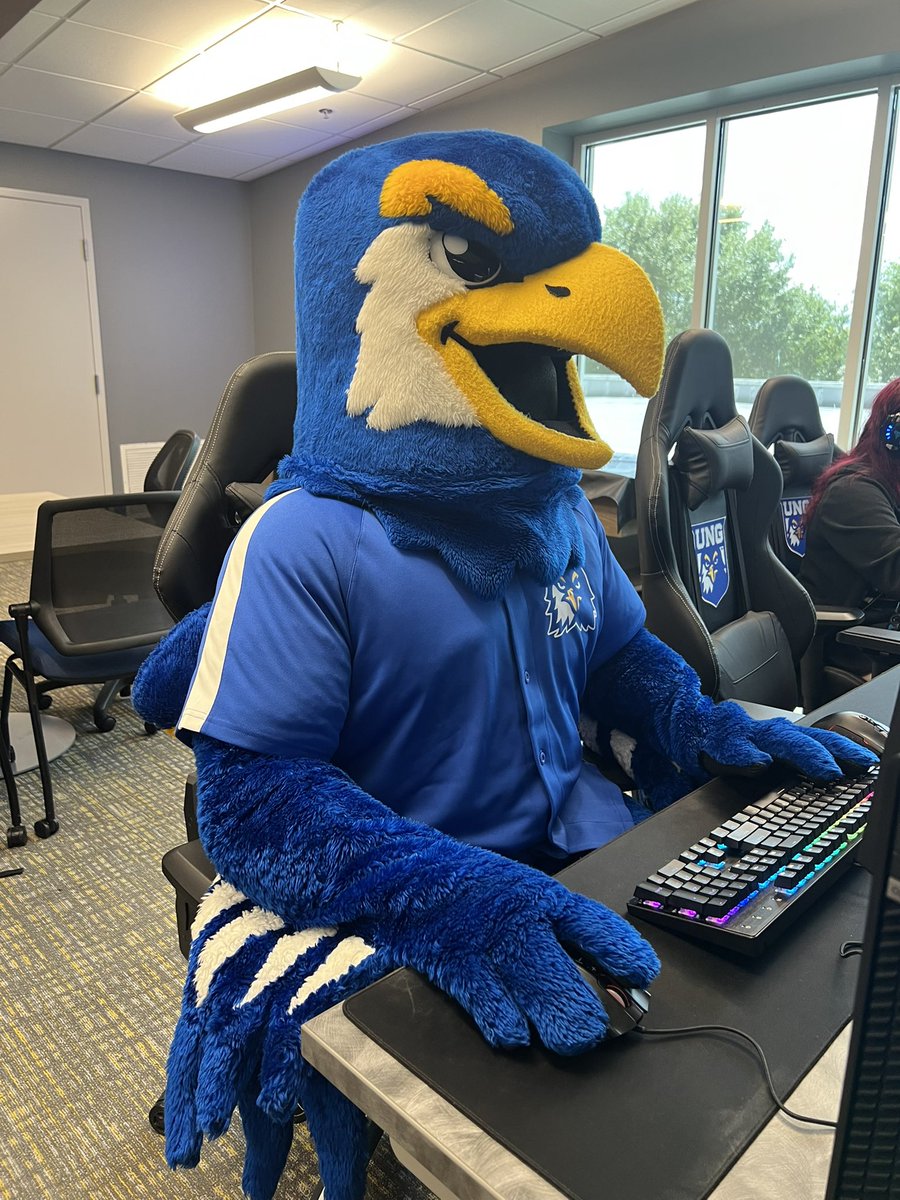 Nigel the Nighthawk tweet media