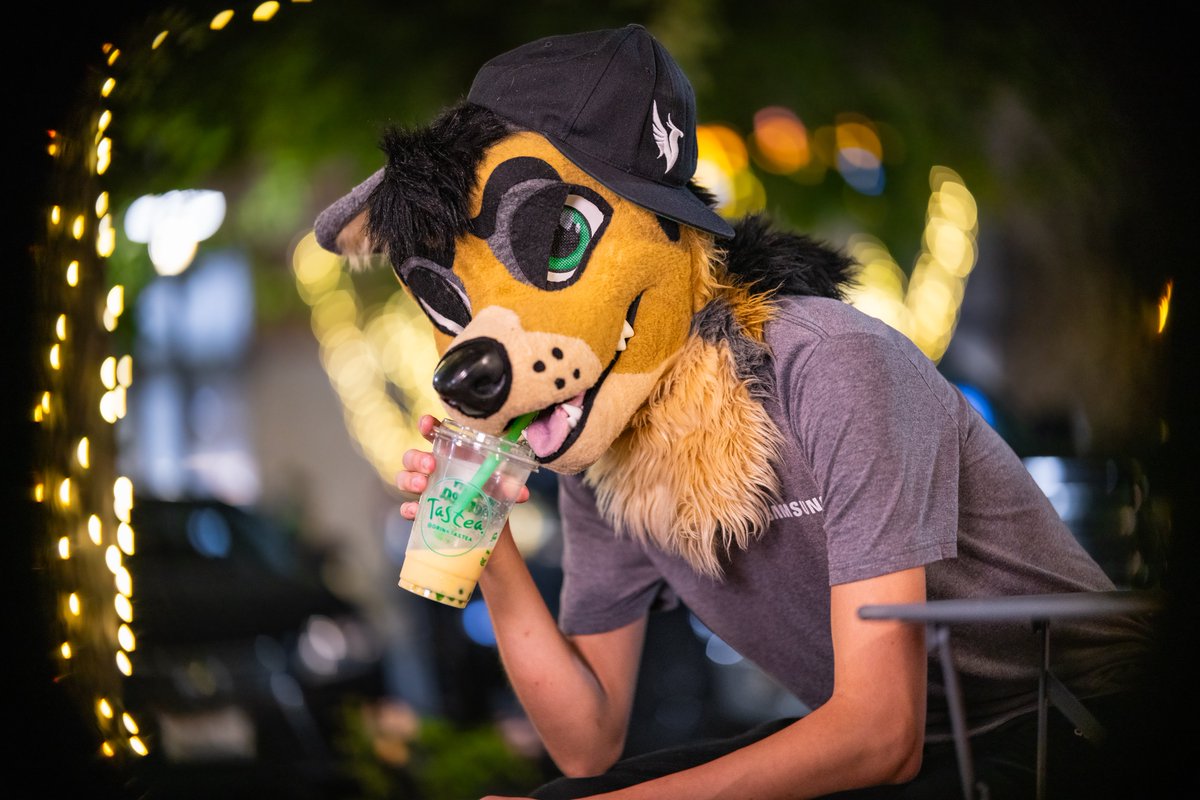 run and gun flash at night is rough
🐕: <a href="/nxify/">Tenn 🔜 PAWCon</a> 
📸+💡: me