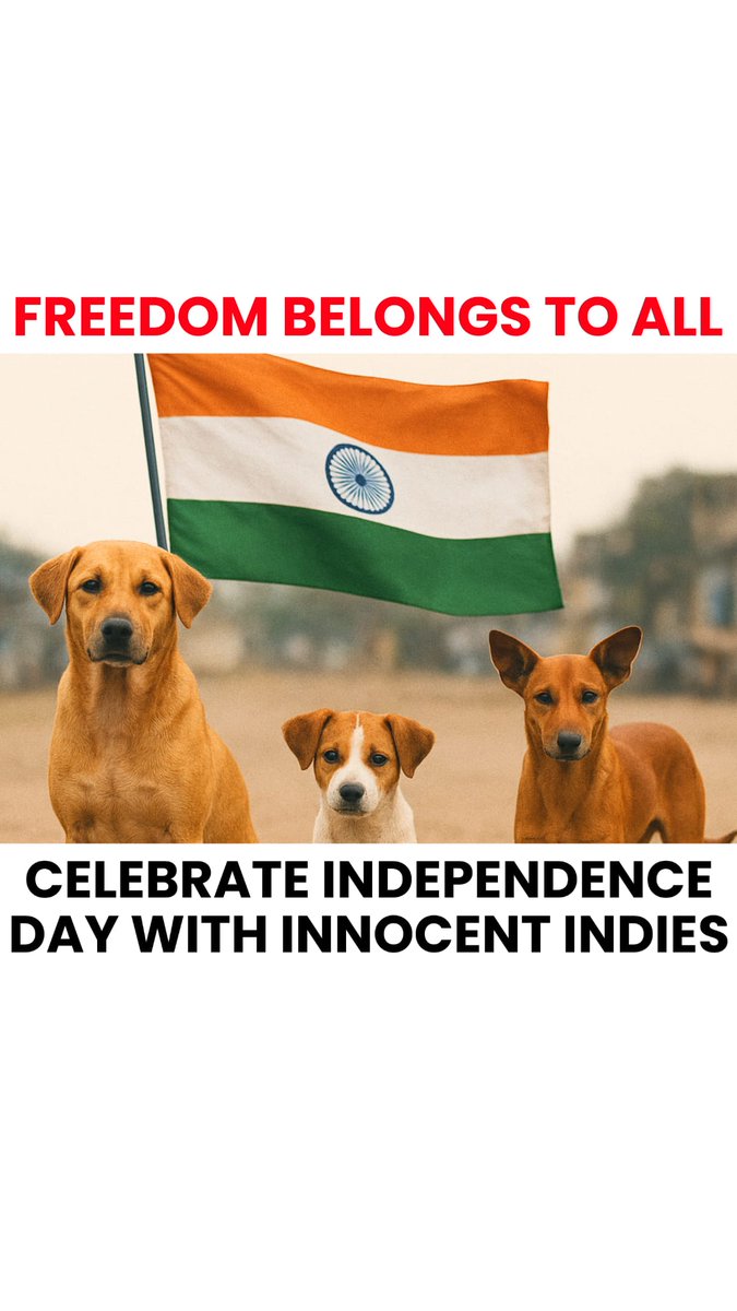 navneet_AWCS's tweet photo. #saveourstrays
How we treat our animals is the mirror of our civilization.
As we celebrate our 78th Independence Day, it is heartbreaking to see India take decades-long steps backward, with an apex court order that lacks both empathy and logic
#savedelhincrdogs2025

@ansh_roger007 @LEKHI_AMAN @pankhuripathak @Tara_Deshpande @tarana2510 @AmbikaShukla15 @RajatSharmaLive @ShivaniGupta_5 @vfanimals11 @peta @Manekagandhibjp